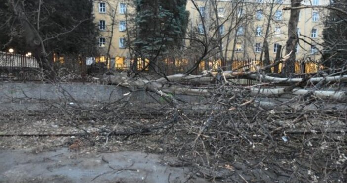 Опасно време ни очаква в началото на другата седмица Предимно слънчево
