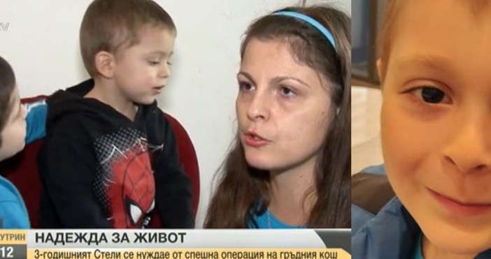 Майката на Георги и Емилиян Силвия Ронкова от Варна призова