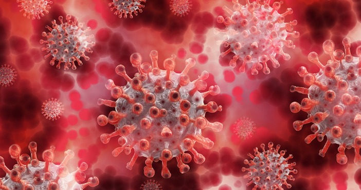 Общият брой на потвърдените случаи на коронавирус у нас вече