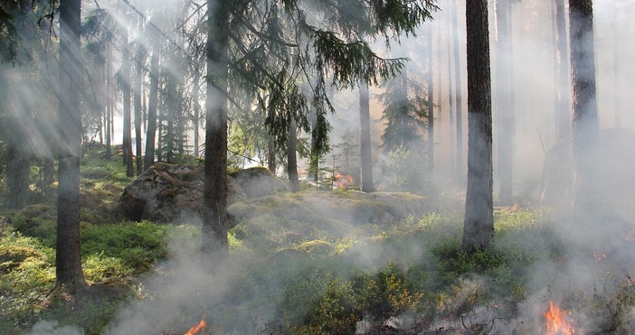 Горските пожари в Канада не стихват: Димът от горски пожари в