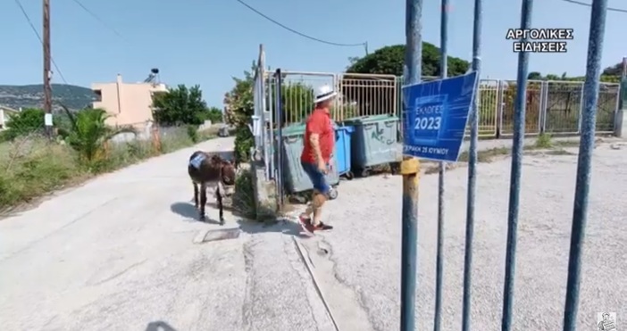 Гръцки фермер отиде да гласува с магарето си Той е