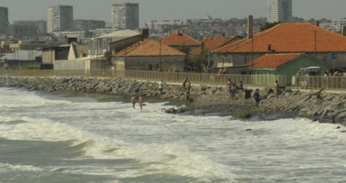 Петел следи какво се случва с водата по нашето Черноморие