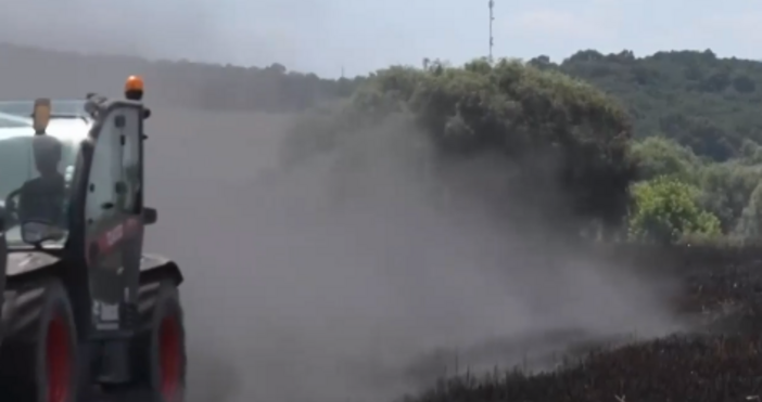 Пожар изпепели стотици декари неприбрано жито край село Добрич. Огънят