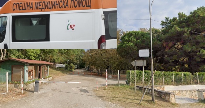 Тежък инцидент е станал в Екопарк Варна тази сутрин Няколко линейки
