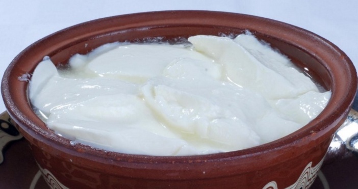Европейската комисия одобри включването на Българско кисело мляко като защитено