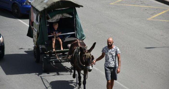 Френското семейство, което пътува с каруца за Палестина, е гост