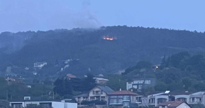 Пожар пламна в гората над Цветния квартал във Варна. Това