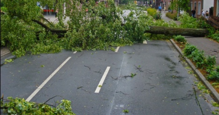 Бурите започнаха. Жесток ураган нанесе щети в Търговище.Всички общински служби