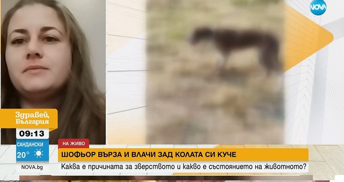 Ново зверство с животно в България: Шофьор върза и влачи с