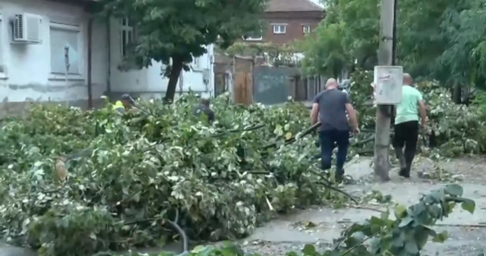 Буря помете Хасково. Има сигнали за 7 паднали дървета в града.