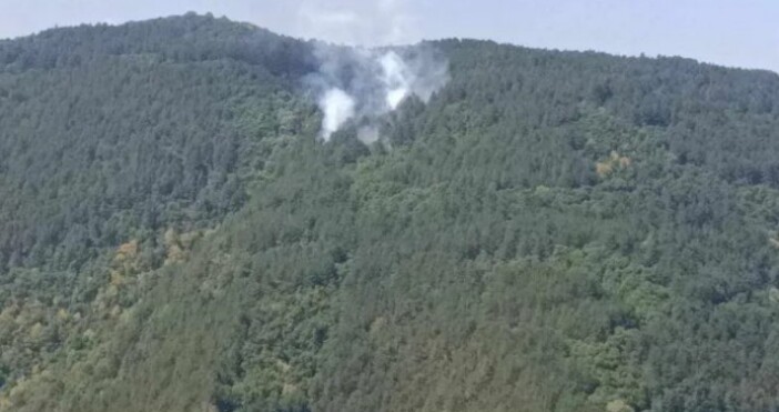 Пожарът край връх Баба е овладян  съобщиха от пожарната в Пловдив Три часа