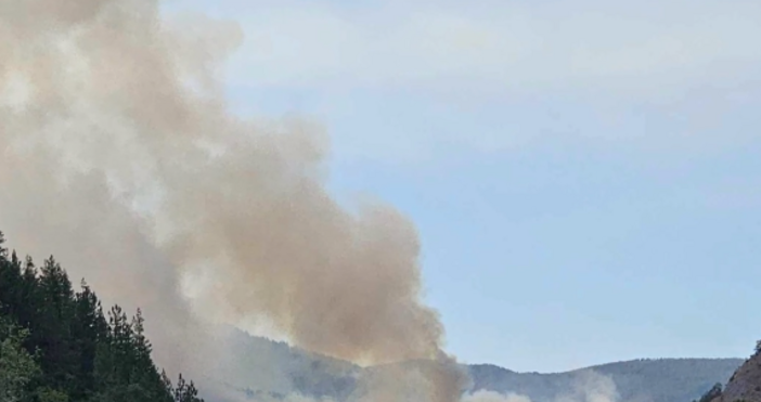 Голям пожар обхвана района на Чепеларе Запали се гората край