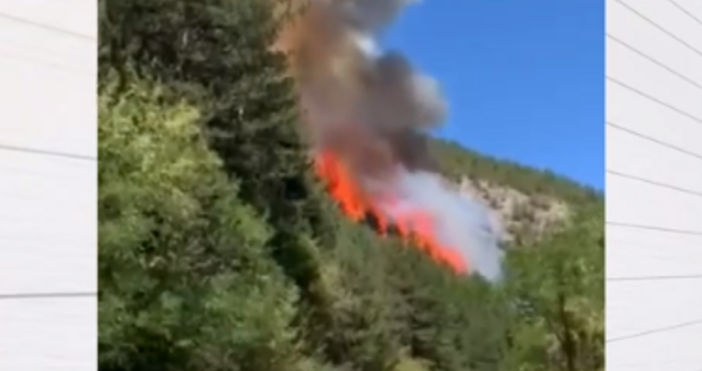 Чепеларе обяви частично бедствено положение заради горския пожар край селата Хвойна