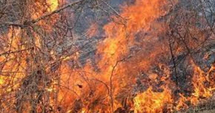 Пламна боровата гора край Хисаря съобщиха от Регионална дирекция Пожарна