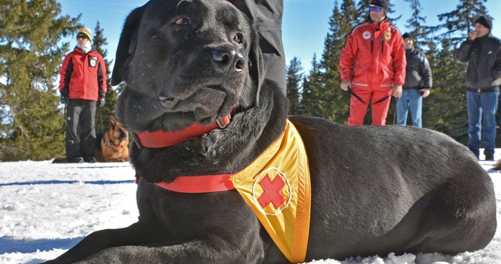 Трети ден продължава издирването на мъж и жена в Стара