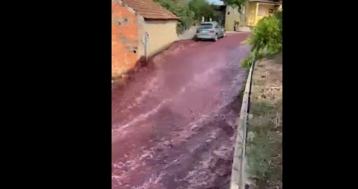 В Португалия инцидент във винарна предизвика наводнение от виноДве цистерни