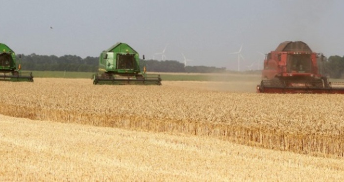 Износът на пшеница от България стартира ударно новия сезон.През юли