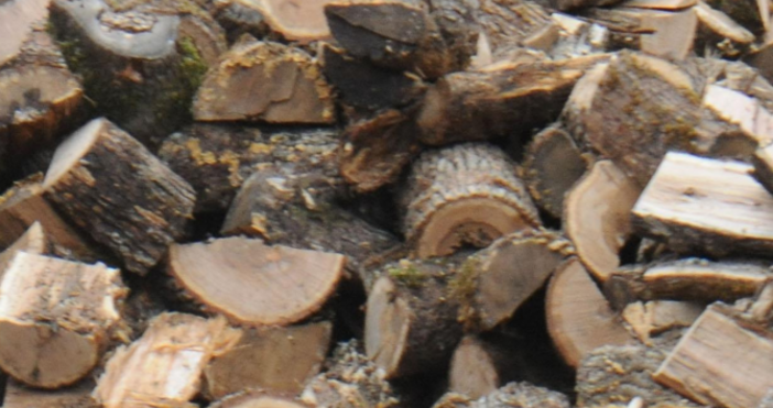 Намаляло е търсенето на дърва за огрев споделят търговци В момента