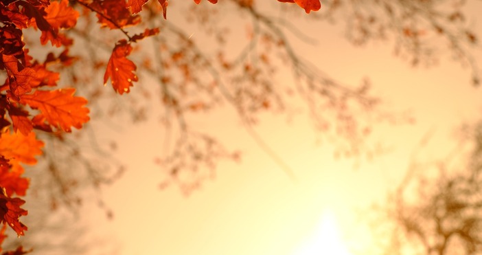 Снимки PIxabayИзпращаме октомври с много слънце и необичайно топло време