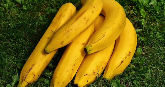 Бананите са едни от най-разпространените плодове във всеки дом и