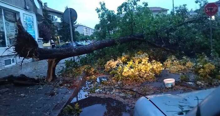 илюстрация  Фейсбук Targovishte Live Силната буря във Варна преди седмица взе жертва след като