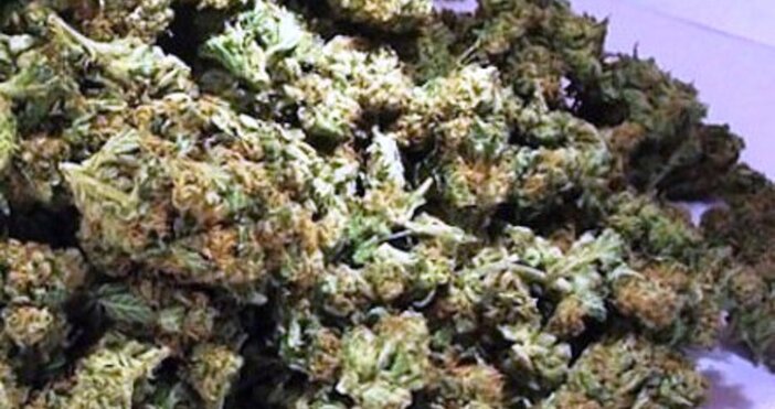 Полицията в Стара Загора залови 30 пакета марихуана по време