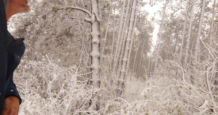 Обстановката в страната започна да се нормализира, но все още