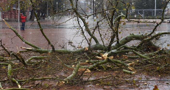 Жълт код за силен вятър е обявен в 15 области