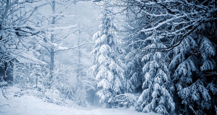 pixabay.comДо събота вечер може да падне 30-40 см. сняг.Силният снеговалеж причинява