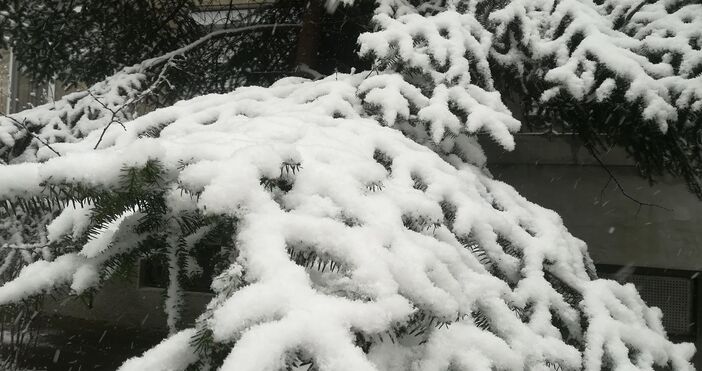 Сняг между Коледа и Нова година прогнозират синоптиците Динамичното време ще