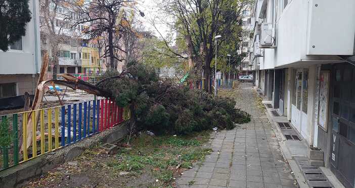 На много места във Варна още има следи от бурята