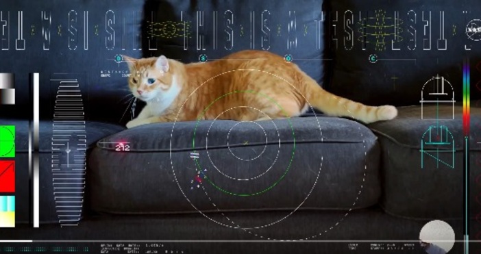 НАСА засне видео с котка както правят много почитатели на пухкавелките