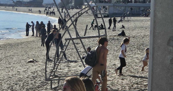Снимки ПетелСтотици варненци са в момента на плажа заради високите