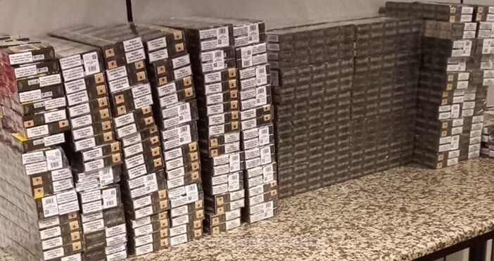 Румънското гранично куче Ебаса откри 4000 кутии контрабандни цигари на международното летище  Анри Коанда