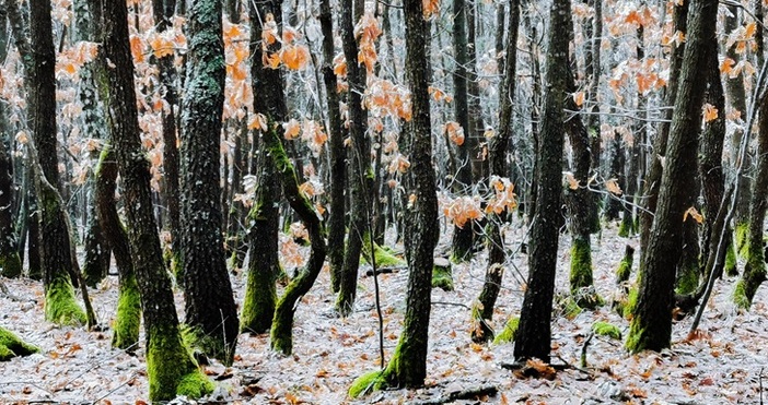 През нощта облачността бързо ще се разкъса и ще намалее,