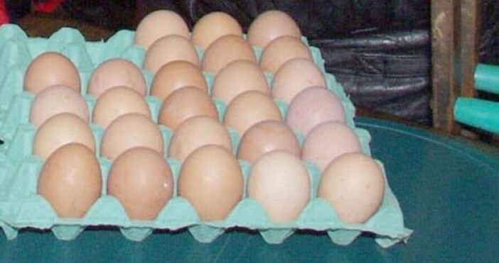 По рафтовете в магазините се предлага богат избор от яйца