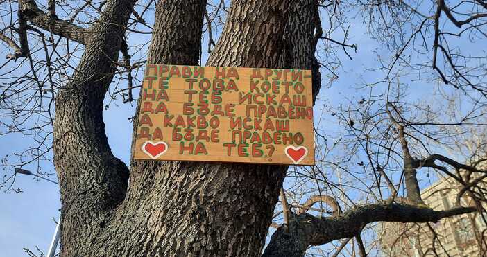Табели забити по дървета във Варна се появиха на поне
