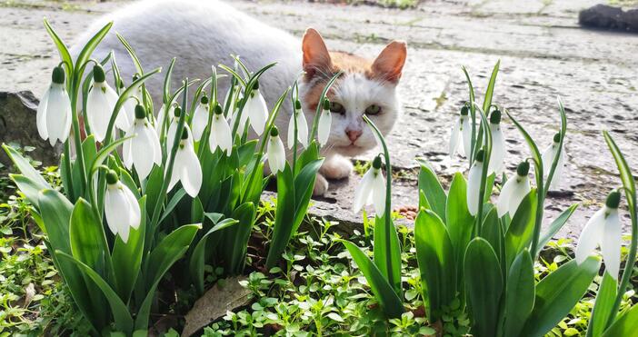 След студът във Варна от днес вече е слънчево и