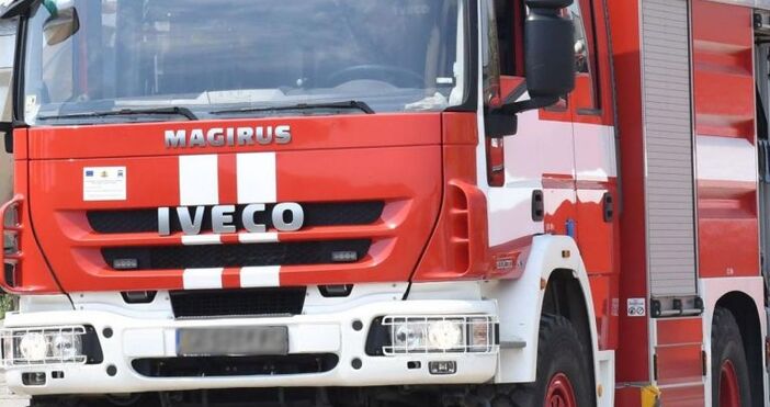 Деца от Горна Оряховица хвърлиха бомбичка в камион и го подпалиха