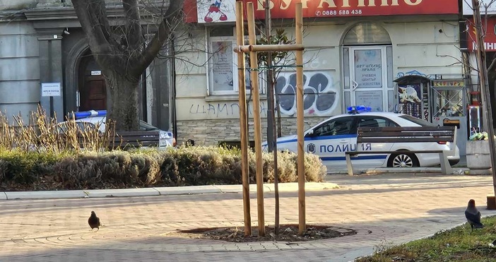 Шишковата градинка във Варна е била обсадена от полиция тази