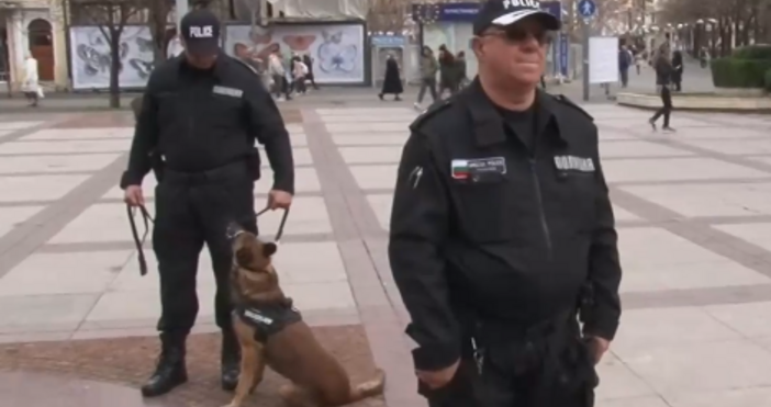 Полицейски кучета стават част от охраната на обществения ред в
