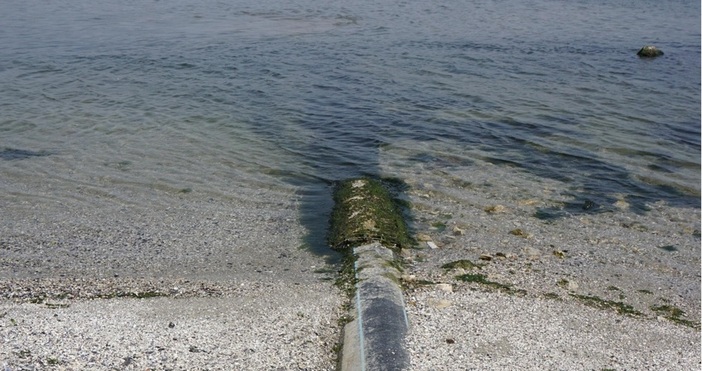 Участъци от Варненското езеро са замърсени с тежки метали над