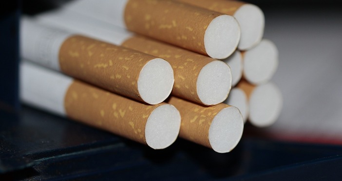 Близо 19 000 къса контрабандни цигари иззеха столичните полицаи Специализираната