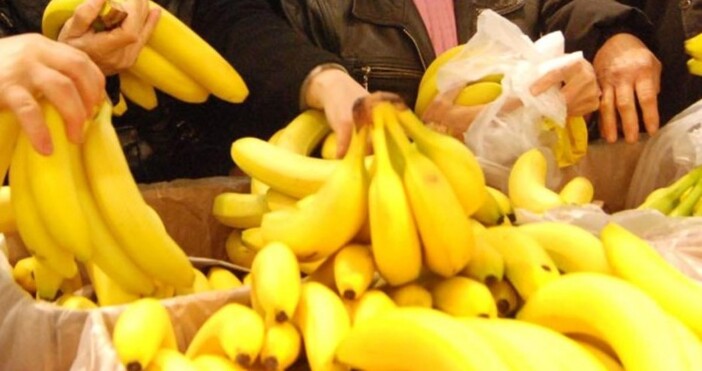 Бананите ще увеличат цената си заради климатичните промени предупредиха пред