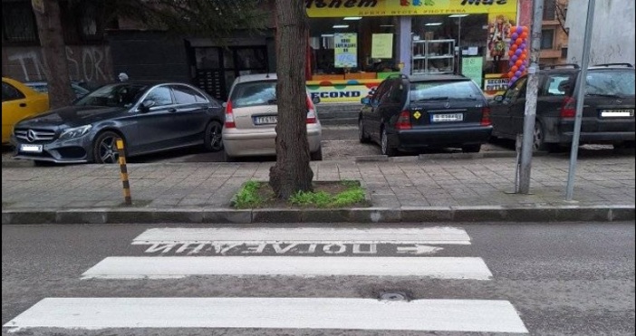 Пешеходна пътека във Варна е направена на любиптно място точно