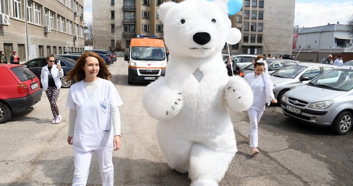 Студентите от випуск 2024 на Тракийския университет Стара Загора –