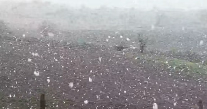 Много необичайно явление се очертава в България - сняг с
