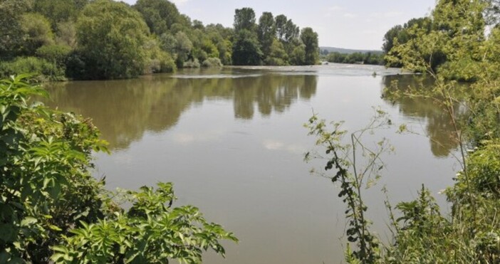 Днес започва почистването на коритото на река Марица от самораслата