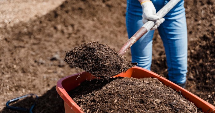 Варна може да стане по зелена с нов проект за компостиране