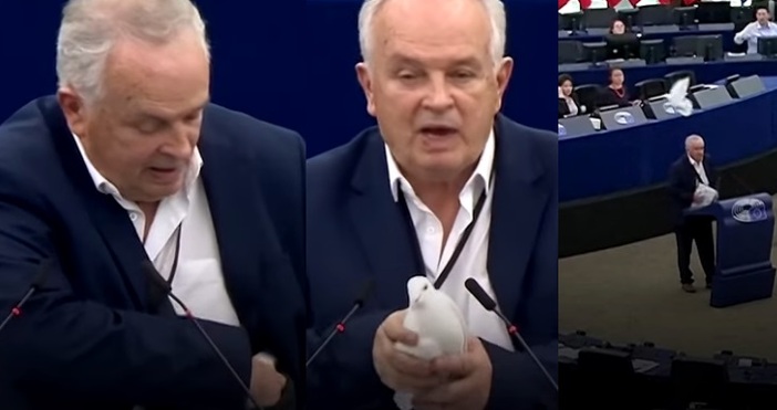 Снимка: Пълен шаш в Европарламента: Словашки евродепутат изкара гълъб от чантата си и го пусна да хвърчи за мир